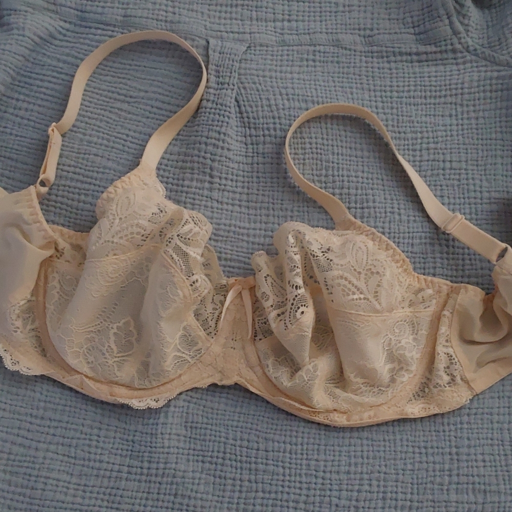 Panache Bra 34F